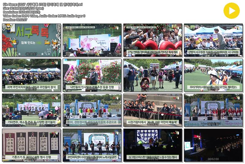 [2017 서구톡톡 27회] 연희동 장미축제 및 검암경서동 한마당축제 사진